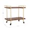 Martha Stewart Liam 2-Tier Walnut Mobile Wood Grain Office Storage and Printer Cart w/Polished Brass Frame NAN-JH-17107-BR-GLD-MS - alternate 5